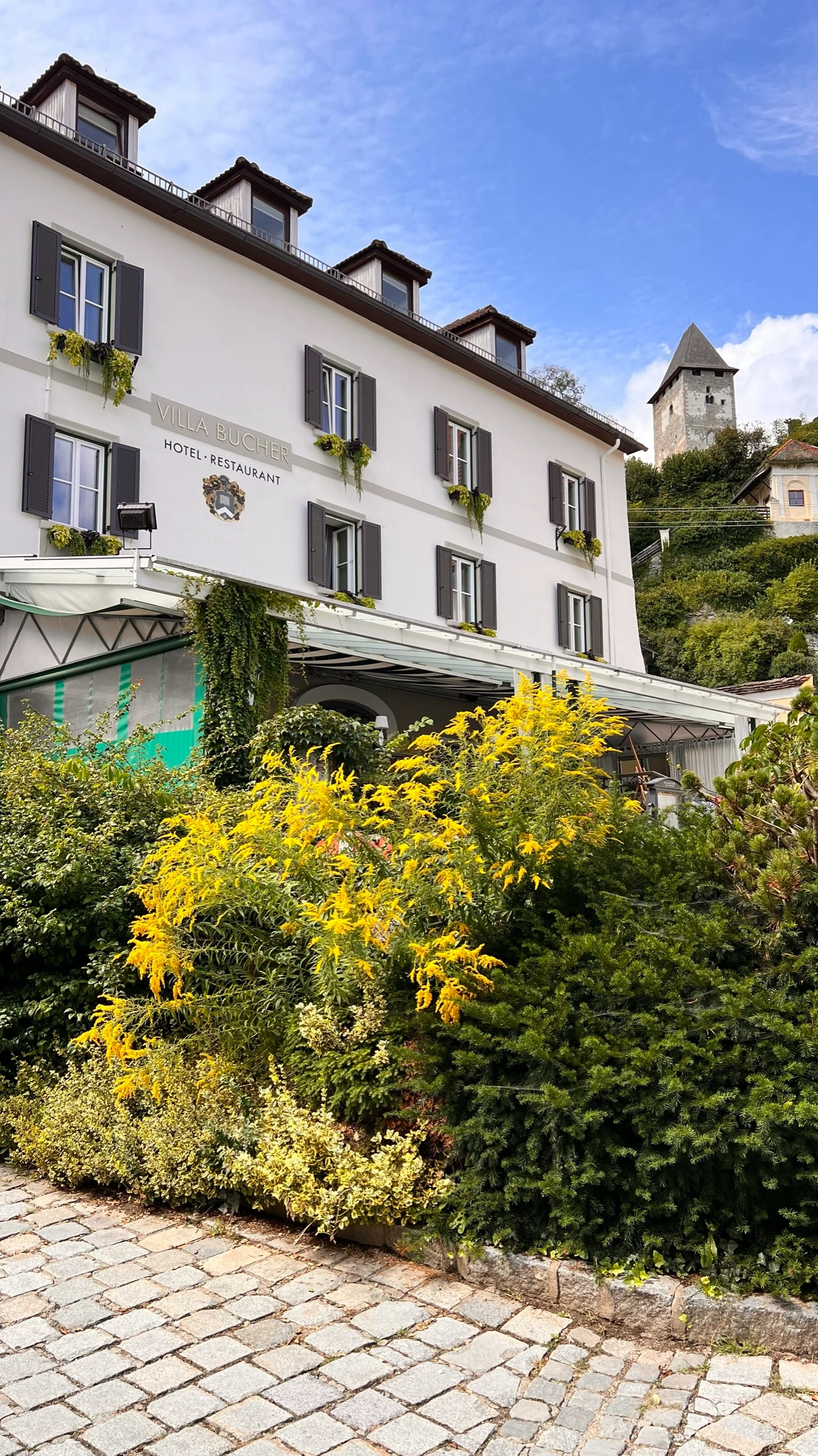 1_Villa Bucher_IMG_3042