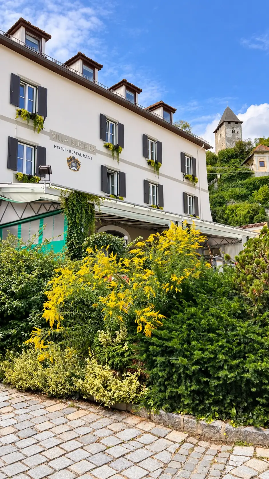 1_Villa Bucher_IMG_3042_improved