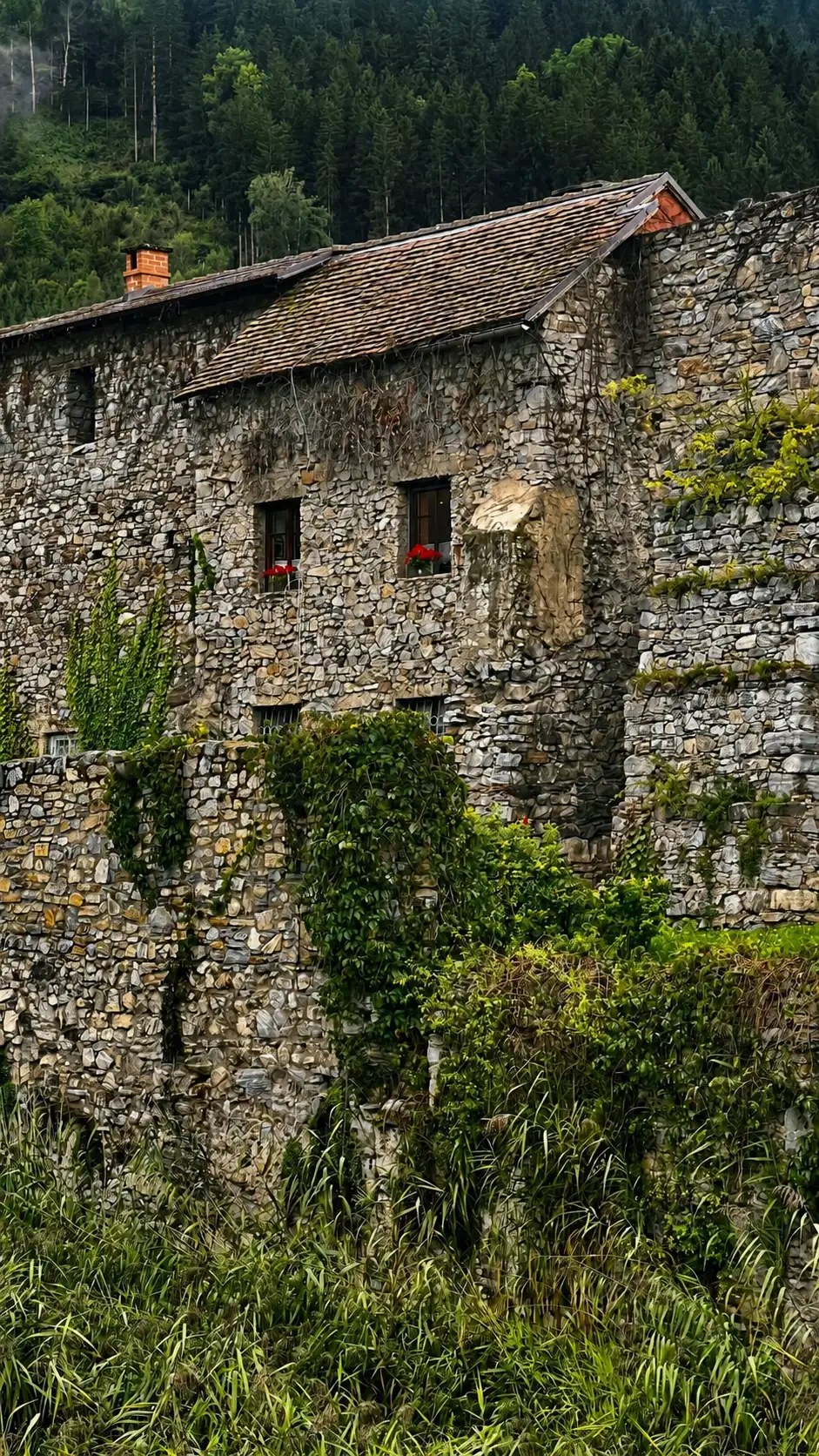 BG10_IMG_2041_improved