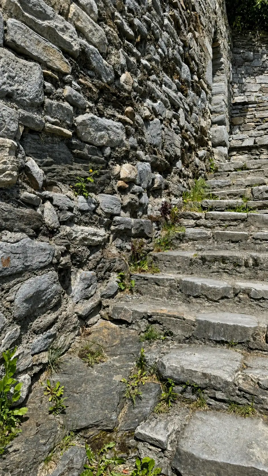 BG12_IMG_4026_improved