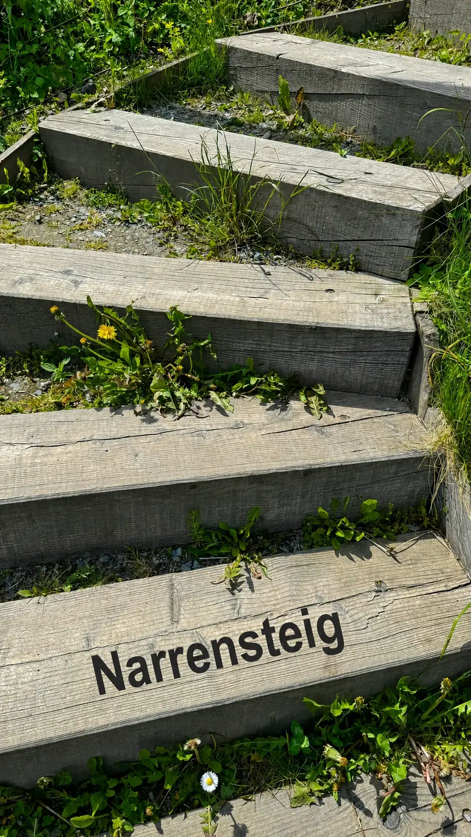 BG1_IMG_4020_narrensteig_improved