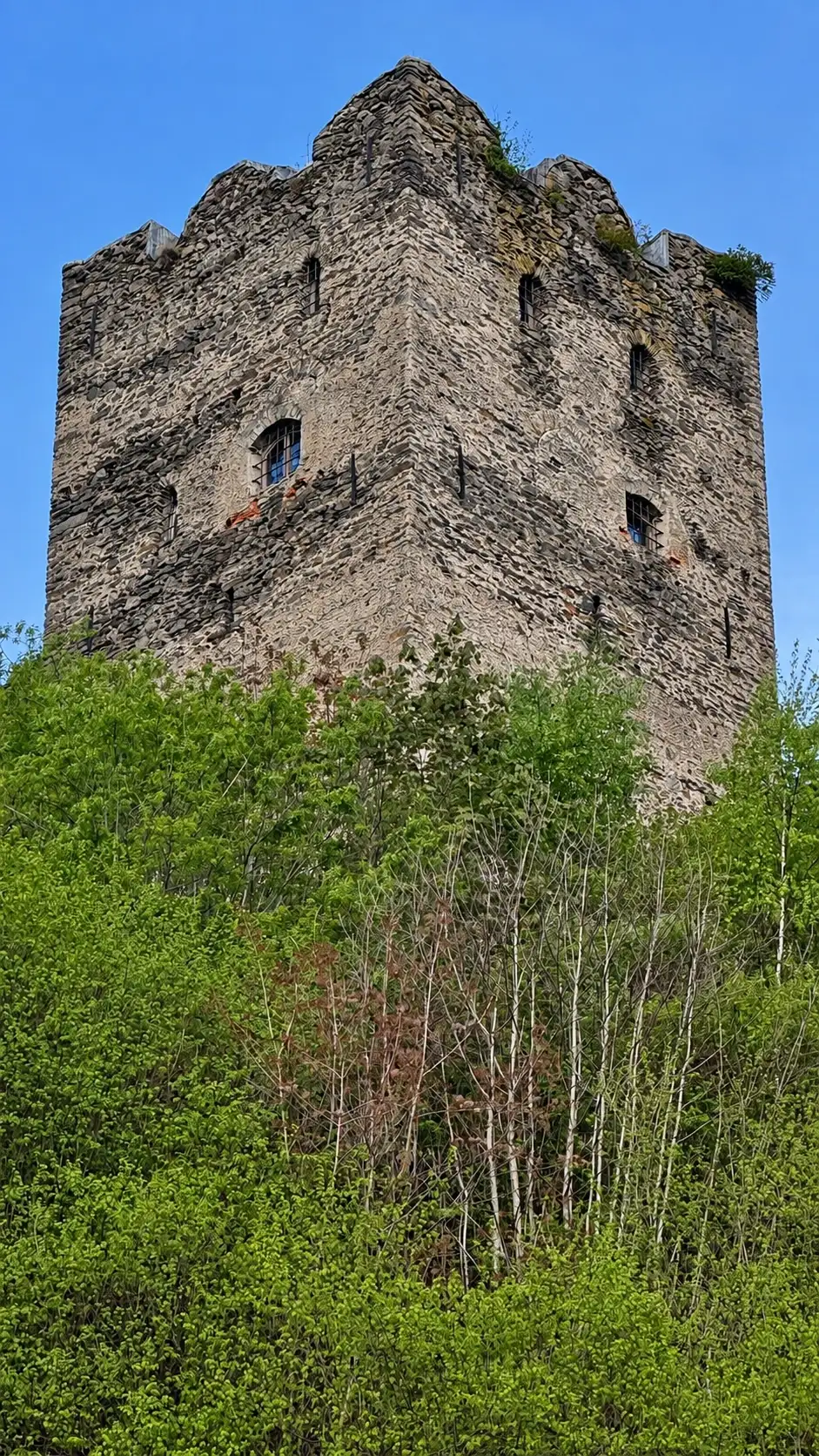 BG2_IMG_3927_improved