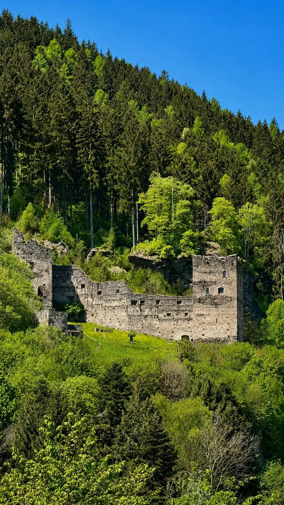 Viewed from Virgilienberg