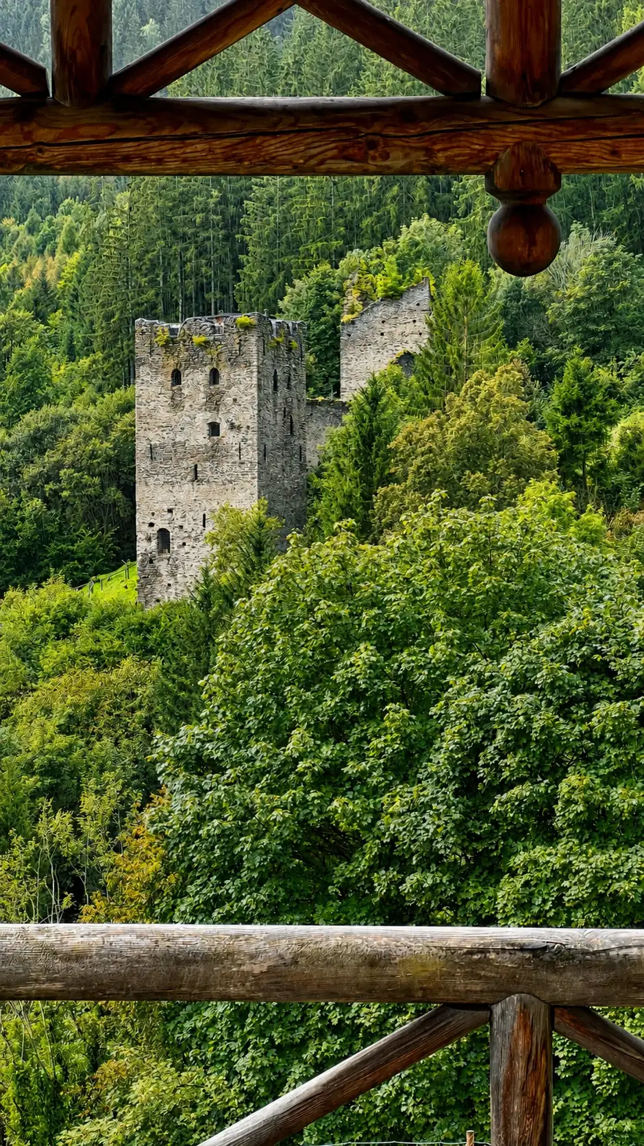 BG8_Narrensteig_IMG_2615_improved