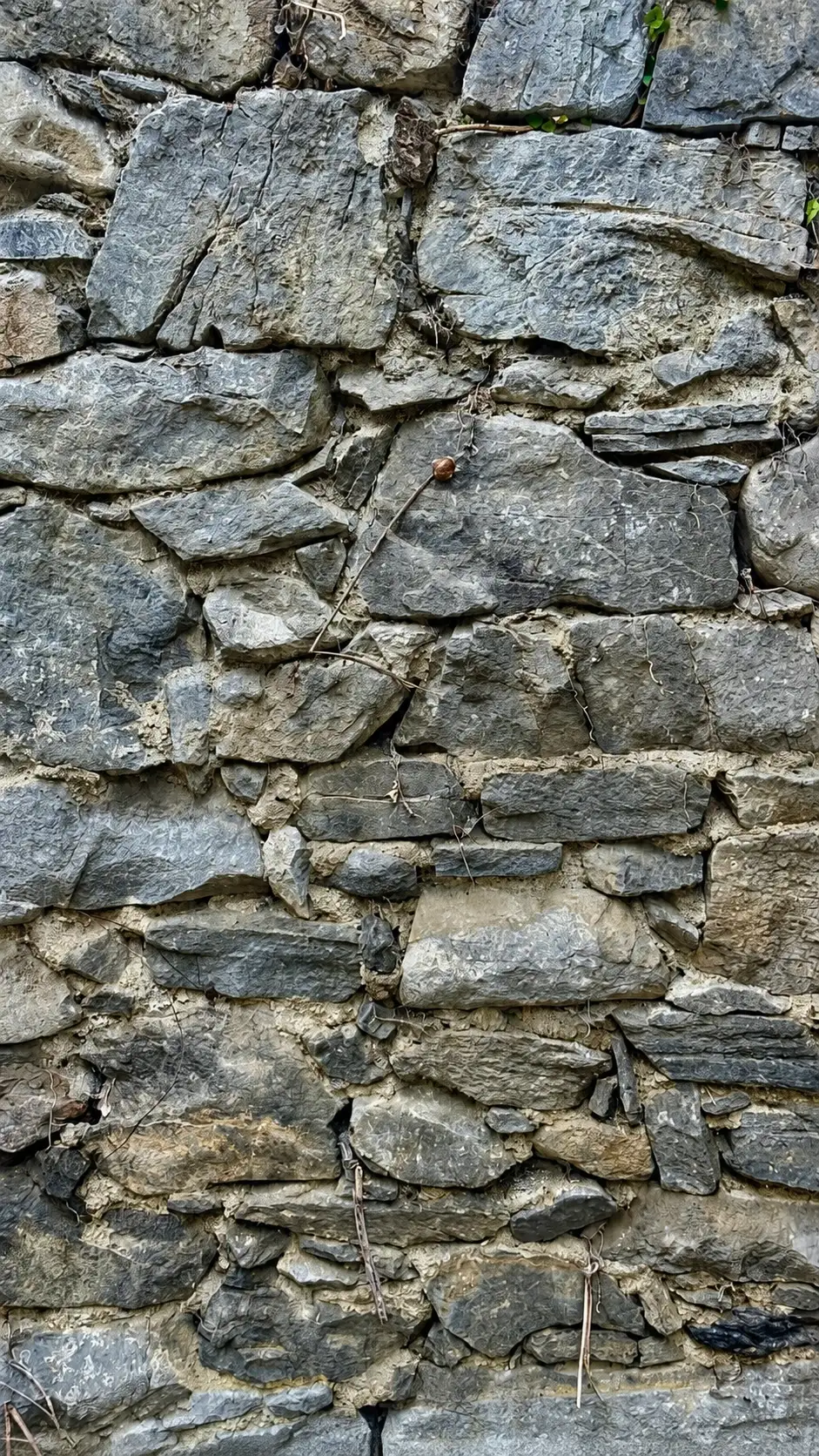 TG10_Stadtpark Wall_improved