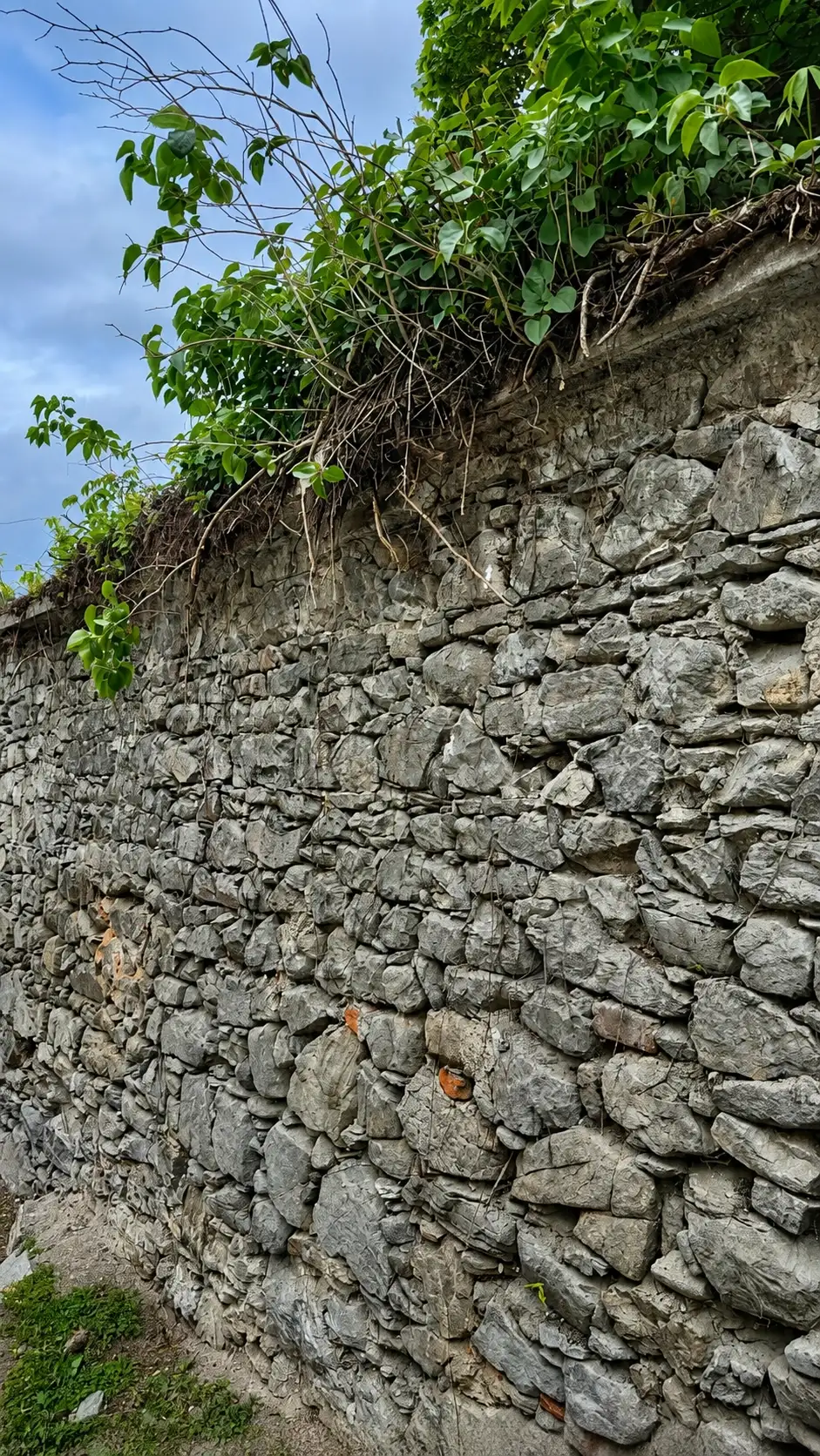 TG11_Stadtpark Wall1_improved