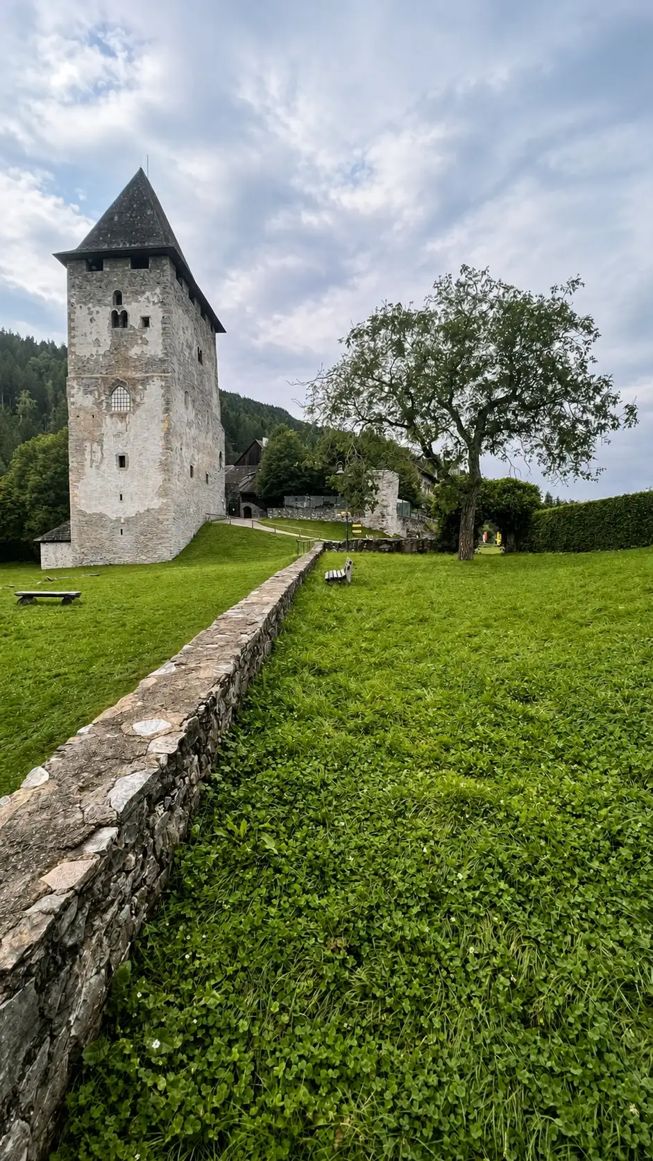 TG2_IMG_2726_improved