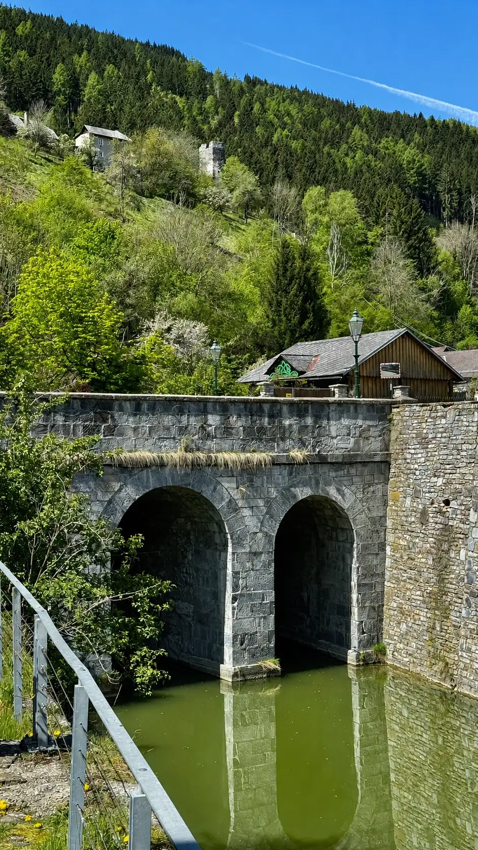 TG3_IMG_3996_improved
