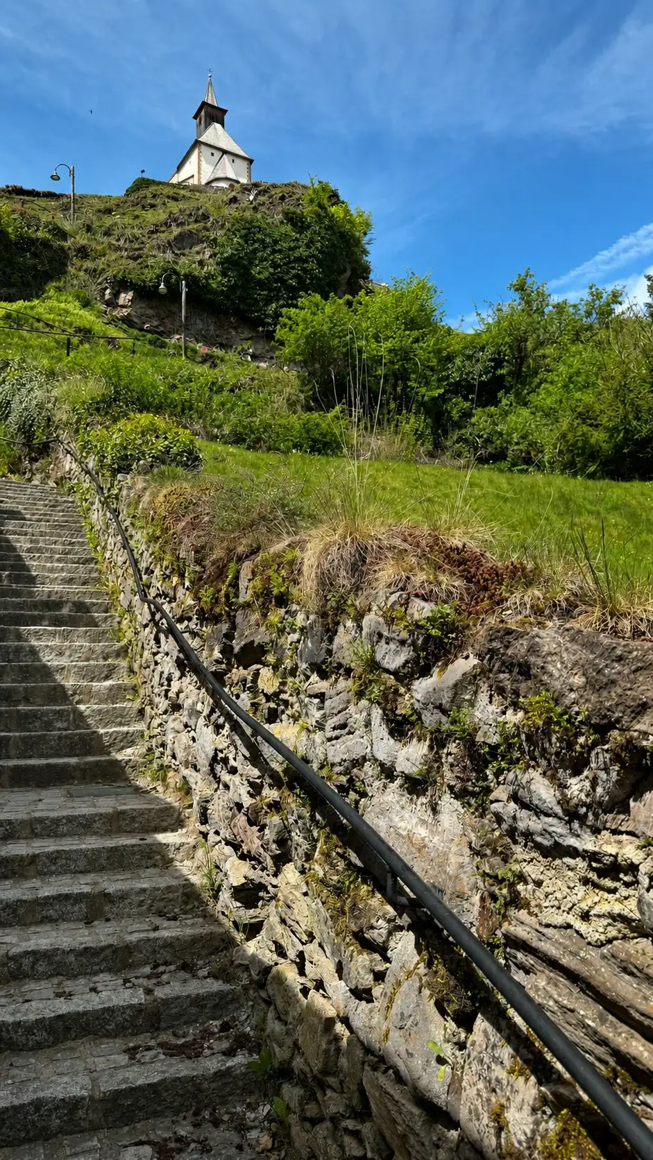 TG3_IMG_4017_improved