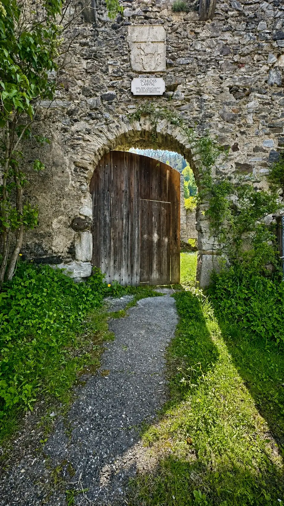 TG3_IMG_4168_improved