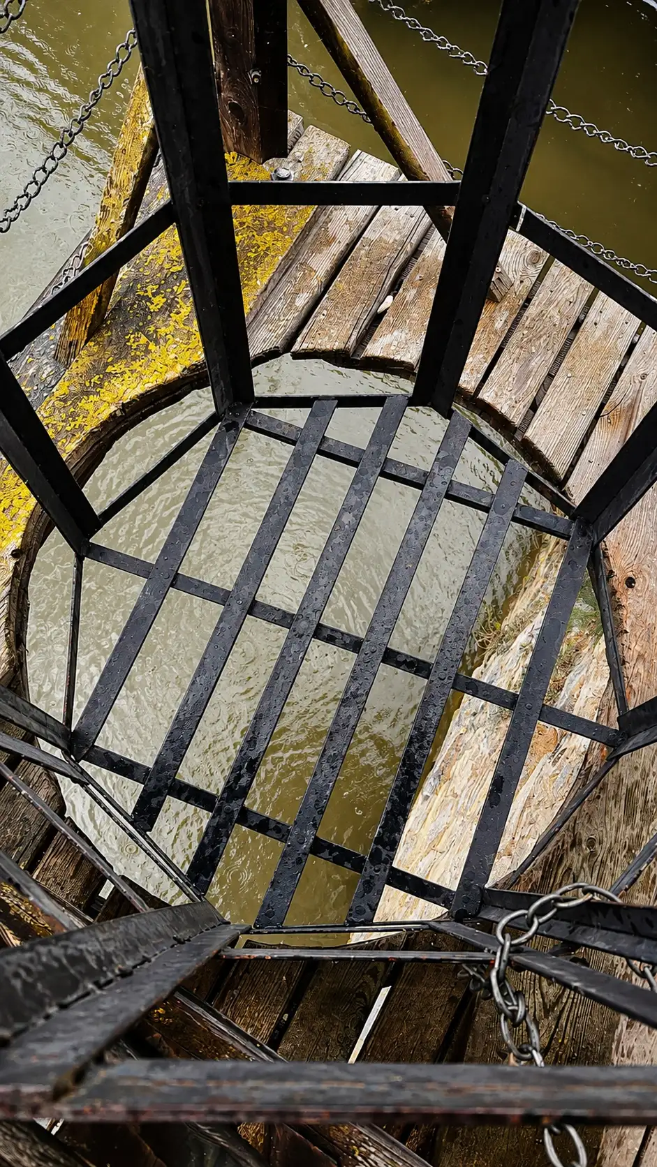 Close-up of the bottom of the dunking cage