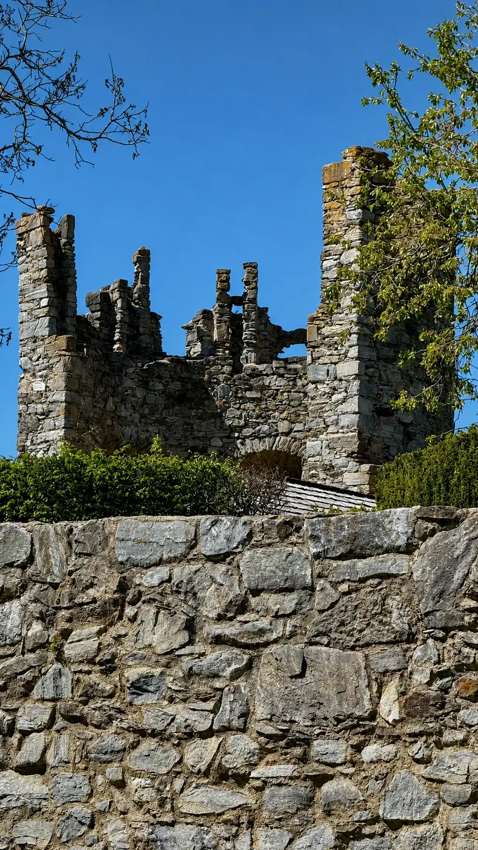 TG6_Half Tower_IMG_4141_improved